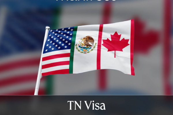 TN visa featured image